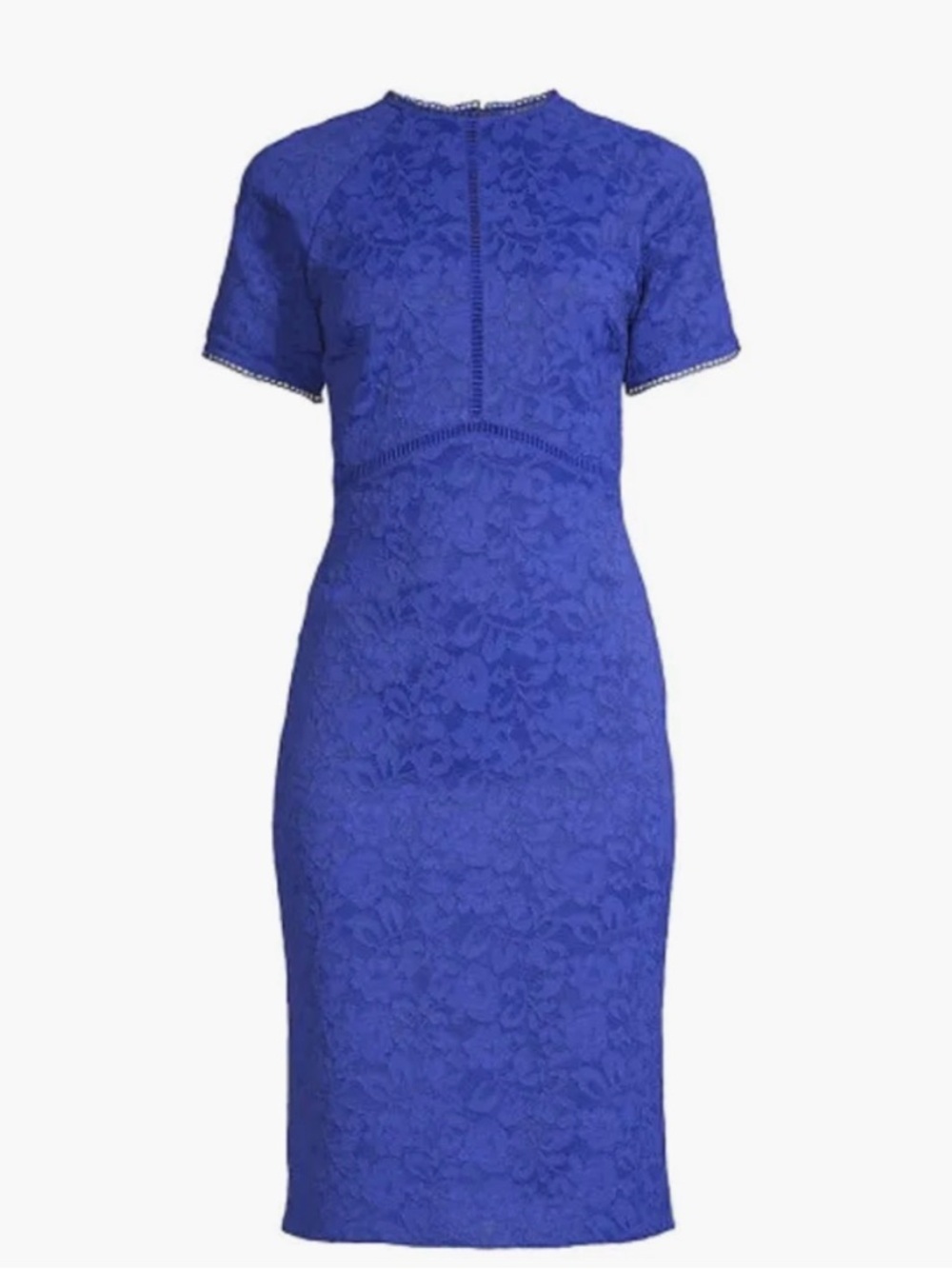 Rachel Parcell Cobalt Blue Lace Midi Sheath Dress